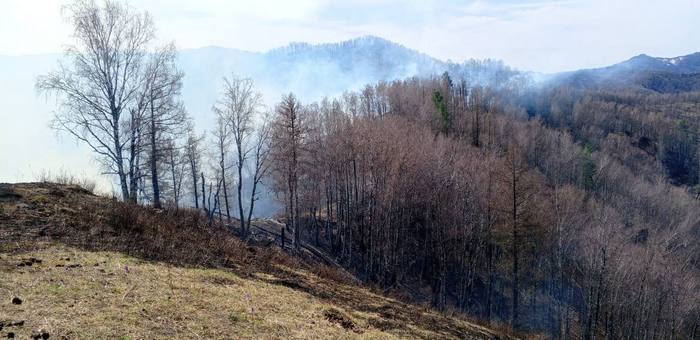 В лесах Республики Алтай завершен пожароопасный сезон