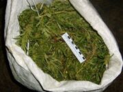 Прятал марихуану в сене: сельчанина будут судить за хранение наркотиков Прятал марихуану в сене: сельчанина будут судить за хранение наркотиков
