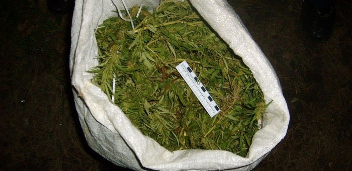 Прятал марихуану в сене: сельчанина будут судить за хранение наркотиков