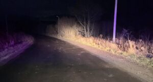 17-летний житель Маймы погиб, перевернувшись на мотоцикле 17-летний житель Маймы погиб, перевернувшись на мотоцикле