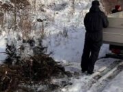 Жителя Горно-Алтайска оштрафовали за загрязнение почвы Жителя Горно-Алтайска оштрафовали за загрязнение почвы