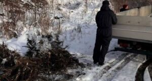 Жителя Горно-Алтайска оштрафовали за загрязнение почвы Жителя Горно-Алтайска оштрафовали за загрязнение почвы