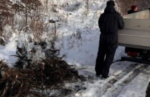 Жителя Горно-Алтайска оштрафовали за загрязнение почвы