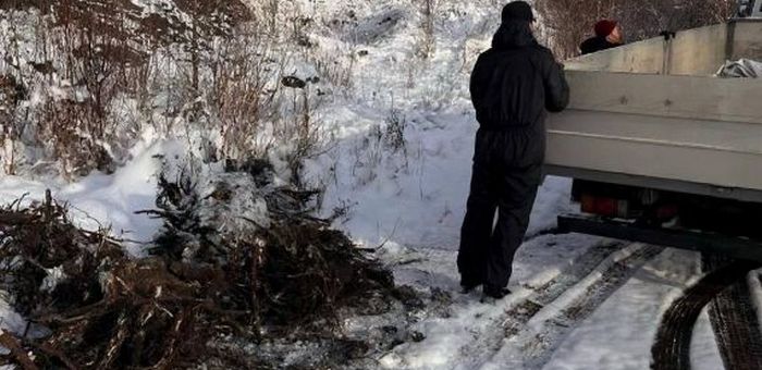 Жителя Горно-Алтайска оштрафовали за загрязнение почвы