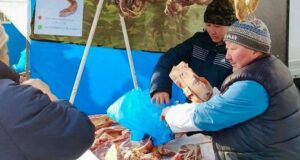 На ярмарке в Горно-Алтайске продали более 12 тонн мяса