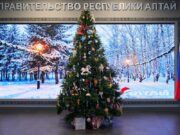«Ёлку желаний» украсили самобытными игрушками ремесленников Республики Алтай