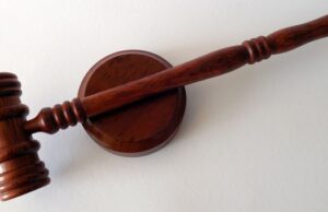 Двух горожан будут судить за незаконную добычу «золотого корня» в заповеднике