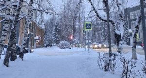 Прогноз погоды: ожидается небольшое похолодание