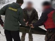 Расстреливают из машин: браконьеры уничтожают косуль во время миграции