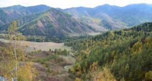 Республика Алтай продолжает лидировать в рейтинге «Зеленого патруля»