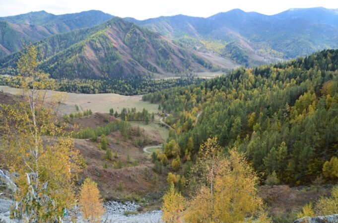 Республика Алтай продолжает лидировать в рейтинге «Зеленого патруля»