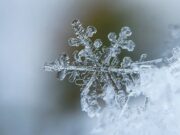 До -46°С: настоящие крещенские морозы пришли на Алтай