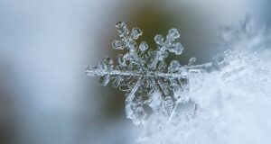 До -46°С: настоящие крещенские морозы пришли на Алтай До -46°С: настоящие крещенские морозы пришли на Алтай