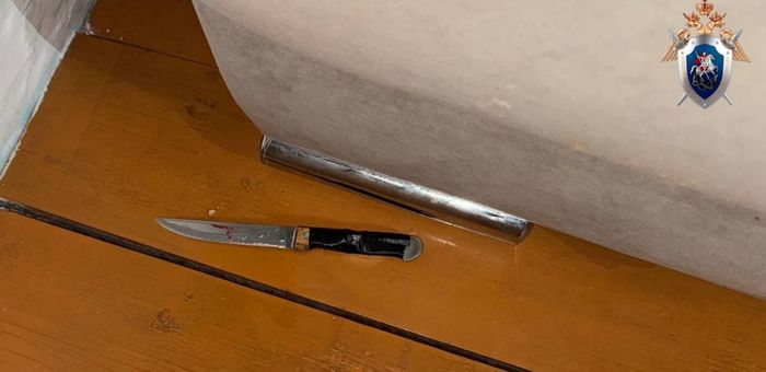 «Заступилась» за подругу: жительница Усть-Кана обвиняется в убийстве