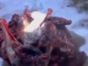 На Алтае поймали браконьера, убившего трех косуль