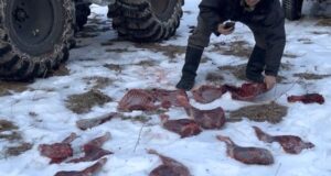 Более 20 нарушений в сфере охраны природы выявлено в республике за новогодние праздники Более 20 нарушений в сфере охраны природы выявлено в республике за новогодние праздники