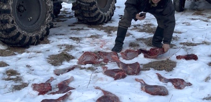 Более 20 нарушений в сфере охраны природы выявлено в республике за новогодние праздники