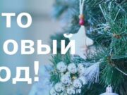 Как провести новогодние каникулы в Горно-Алтайске