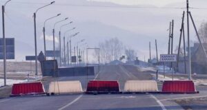 КПП, беспилотники, запрет на охоту: в Онгудайском районе борются с пастереллезом