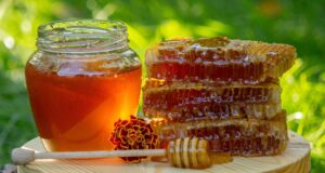 Как выбрать алтайский мёд и не купить подделку