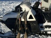 На Алтае поймали браконьера, убившего краснокнижную кабаргу На Алтае поймали браконьера, убившего краснокнижную кабаргу