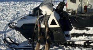 На Алтае поймали браконьера, убившего краснокнижную кабаргу На Алтае поймали браконьера, убившего краснокнижную кабаргу