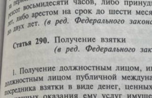 Сотрудник лесничества получил взятку машиной, а теперь получил семь лет «строгача» Сотрудник лесничества получил взятку машиной, а теперь получил семь лет «строгача»