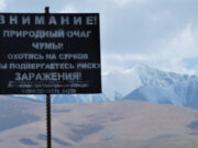На Алтае от чумы привито почти 10 тысяч человек