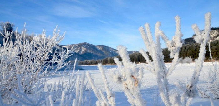 Прогноз погоды: морозы не отступают