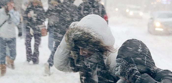 Штормовое предупреждение: сильный ветер, метели, гололед