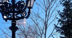 Систему оповещения проверят в Республике Алтай