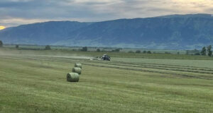 Около 500 земельных участков вошли в перечень особо ценных сельхозугодий