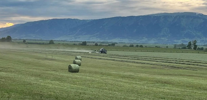 Около 500 земельных участков вошли в перечень особо ценных сельхозугодий
