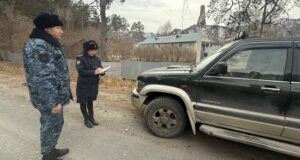 Сельчанин погасил долг по налогам после ареста автомобиля