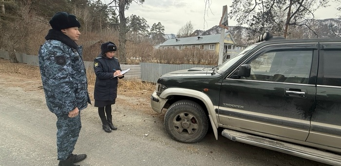 Сельчанин погасил долг по налогам после ареста автомобиля
