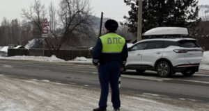 Госавтоинспекция подвела итоги специального мероприятия «Детское кресло»