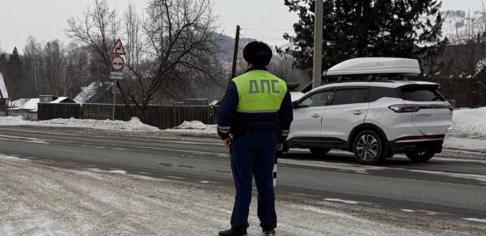 Госавтоинспекция подвела итоги специального мероприятия «Детское кресло»