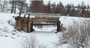 В Кош-Агачском районе отремонтируют мост через Тентектибулак