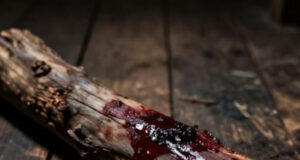 В Теньге мужчина поленьями забил до смерти собутыльника В Теньге мужчина поленьями забил до смерти собутыльника