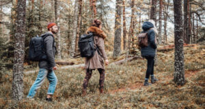 Жители Республики Алтай смогут покупать местные продукты за бонусные баллы от прогулок