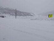 photo 2026 03 11 17 19 55