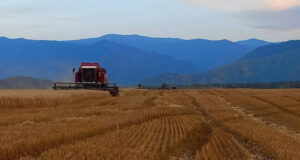 Ветераны СВО могут получить до 7 млн рублей на развитие фермерского дела