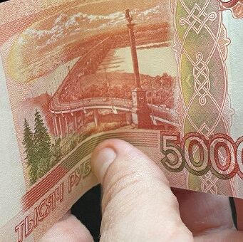 Жительница Куроты продала дрова и мясо, которых у нее не было