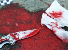 Поножовщина в Онгудайском районе: нетрезвая хозяйка ударила гостя в спину ножом