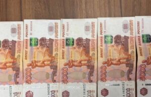 На Алтае иностранцы предстанут перед судом за попытку подкупить таможенника