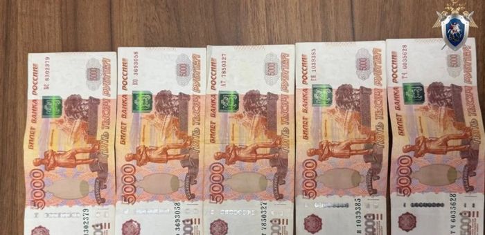 На Алтае иностранцы предстанут перед судом за попытку подкупить таможенника