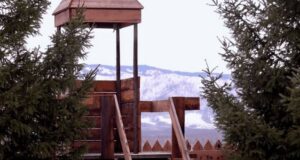 Казачий патриотический центр создадут в Усть-Коксе