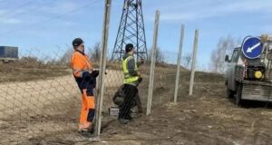 Площадки для переработки древесных отходов обустраивают в Горно-Алтайске