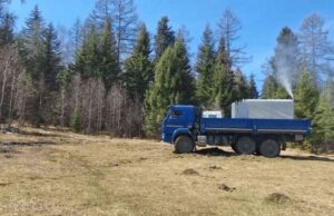 Новая техника для борьбы с шелкопрядом поступила в регион