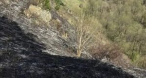 Лесной пожар на горном склоне вспыхнул в Республике Алтай
